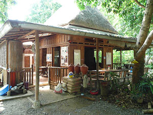 Bamboo House