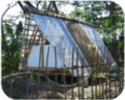 A Bamboo Life