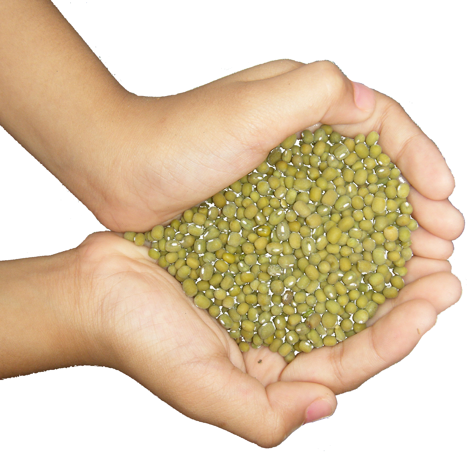 Mung Beans