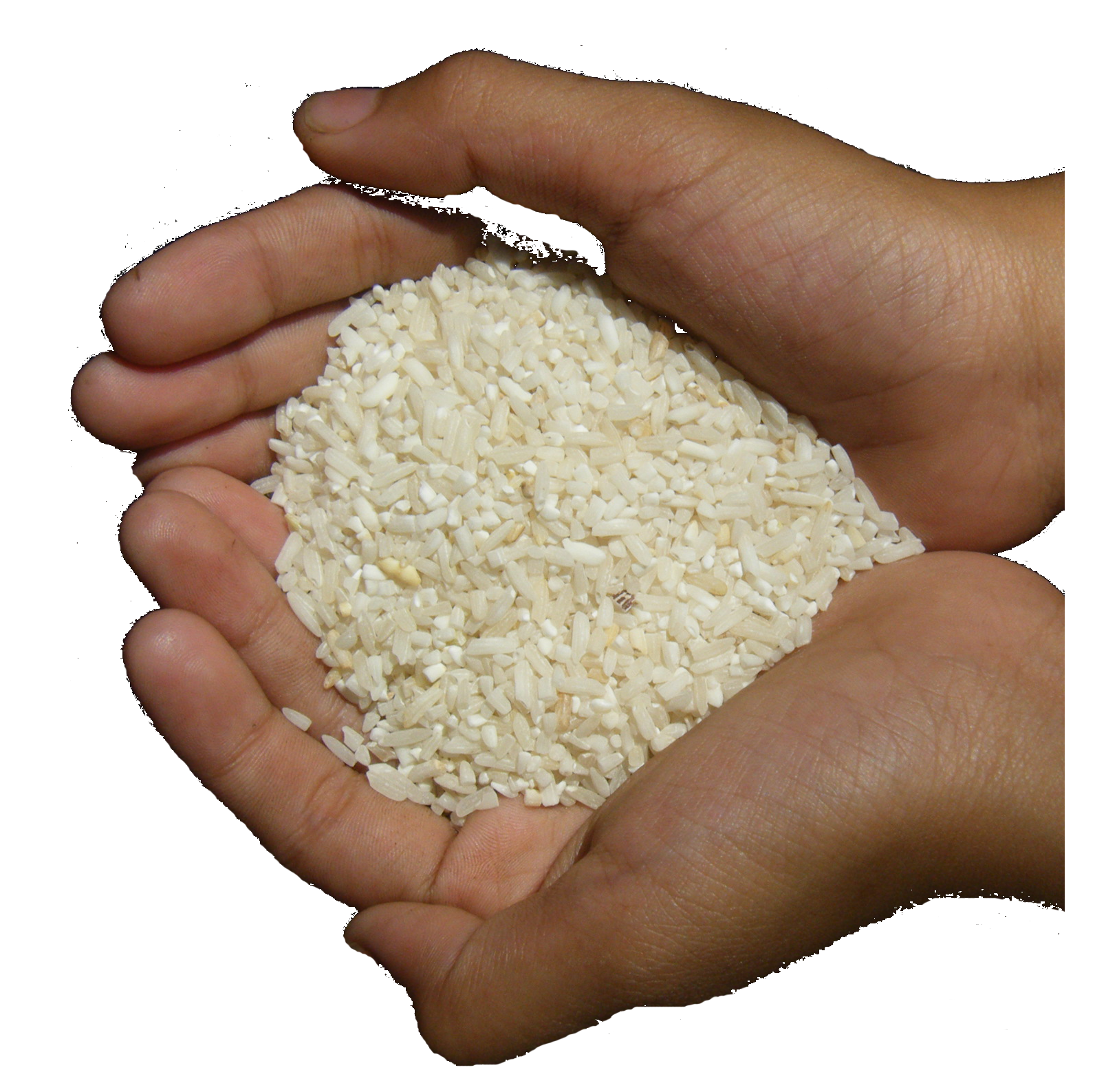 rice